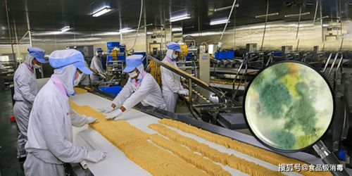 食品生產車間如何有效解決霉菌孢子 潔凈車間細菌真菌