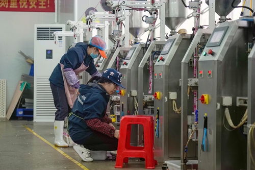 港北區(qū)打造高品質(zhì)寵物飼料，擦亮農(nóng)業(yè)產(chǎn)業(yè)品牌